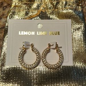 Medium Zircon Chunky Hoop PVD 18K Gold Plated Stainless Steel Earrings